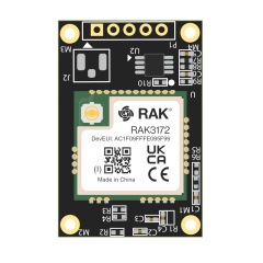 STM32WLE5 Core Module for LoRaWAN
